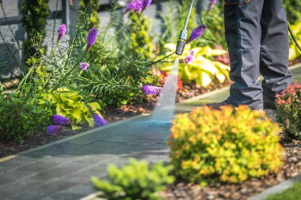 Professional Pressure Washing Services in St Maries, ID